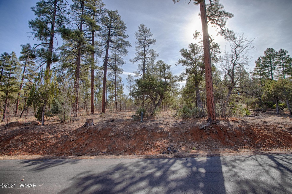3121 Sage Ln, Show Low, AZ 85901 - photo 1