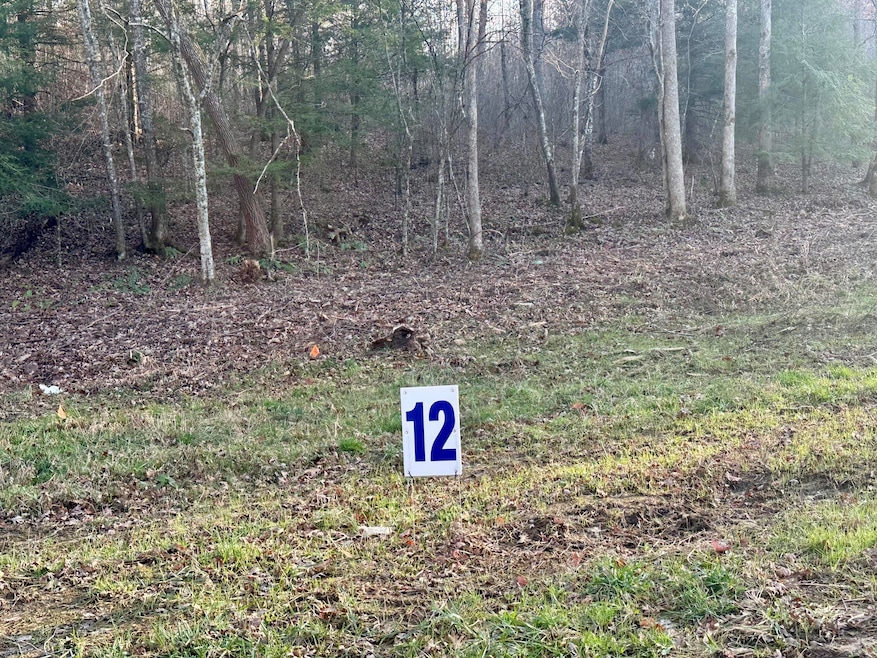 Lot 12 Hensley Rd, East Bernstadt, KY 40729 - photo 1