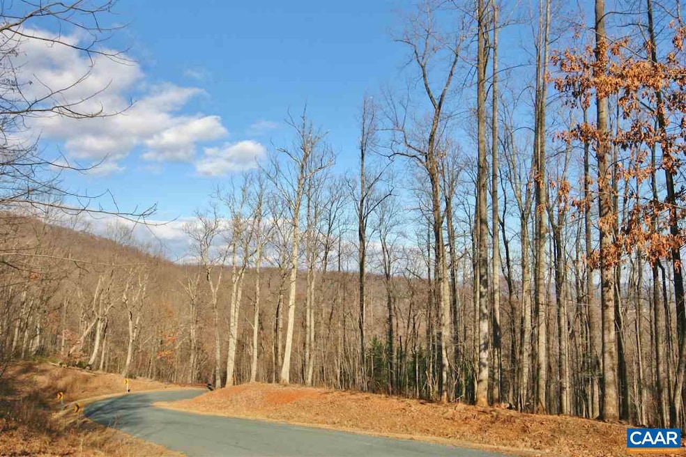 845 Crawfords Climb, Nellysford, VA 22958 - photo 1