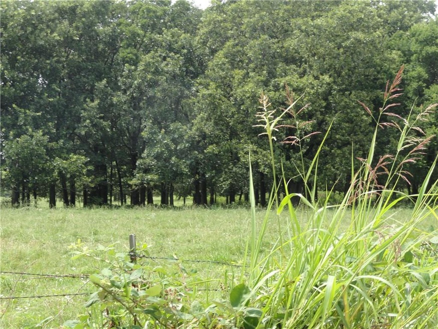 39.43 AC Mt Olive Rd, Elkins, AR 72727 - photo 1