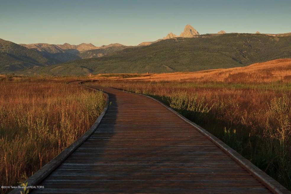Boardwalk in Wildlife Refuge