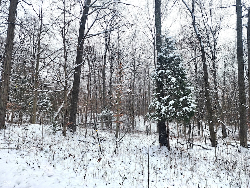 TBD Dogwood Acres Dr, Spice Valley Township, IN 47470 - photo 1