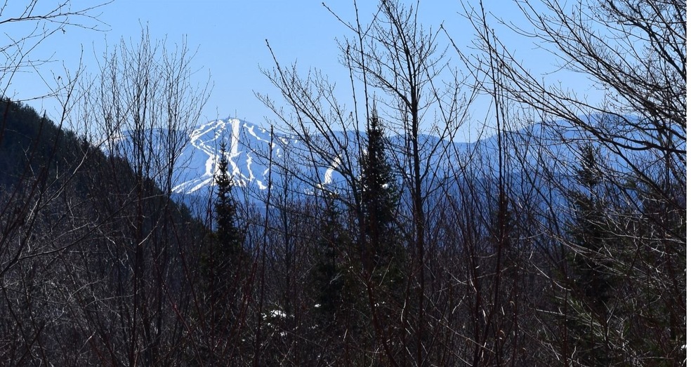 0 Miller Rd unit 20 4804431, Dalton, NH 03598 - photo 1