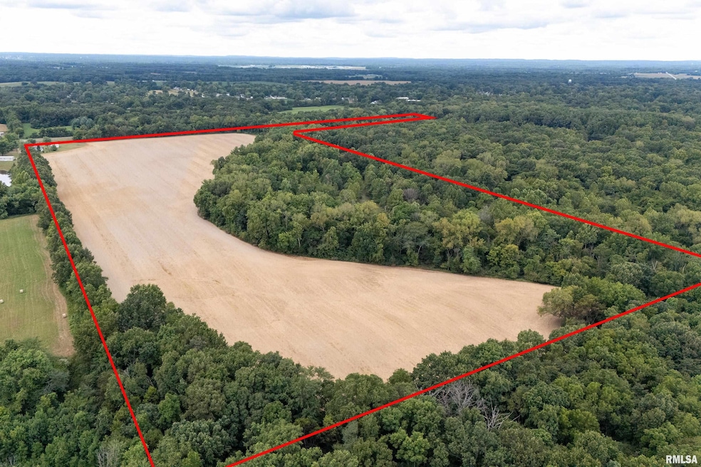 53 Private Rd, Desoto, IL 62924 - photo 1