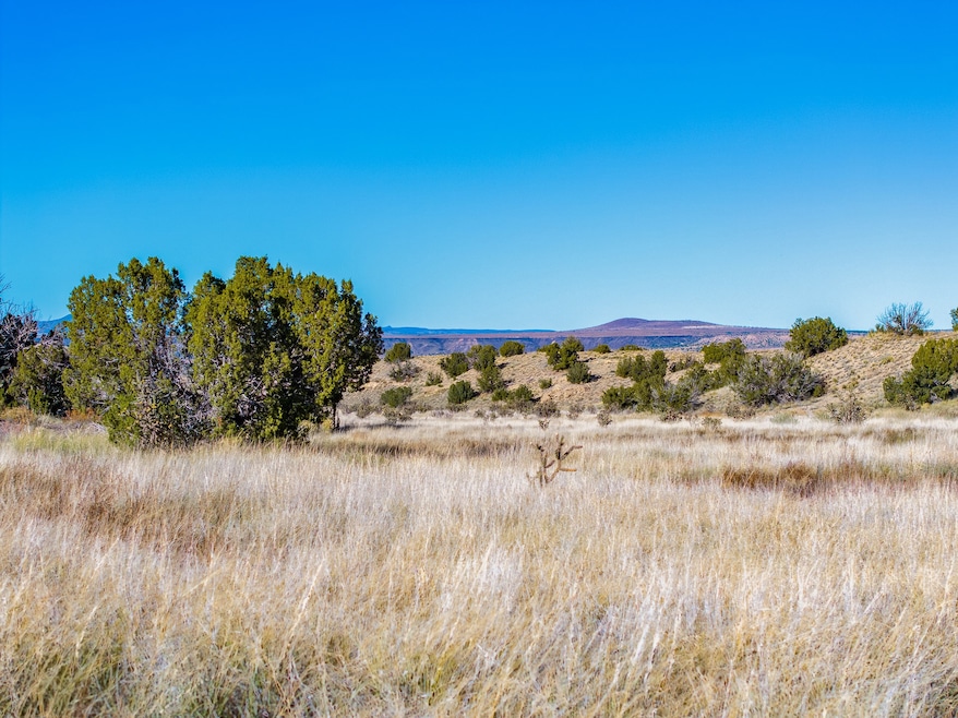 131 Via Sol Estrella unit B, Los Cerrillos, NM 87010 - photo 1