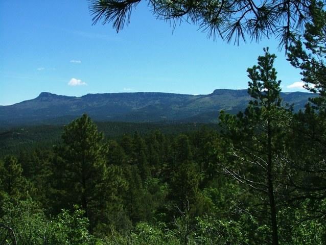 0 Fox Trail unit 20-978, Trinidad, CO 81082 - photo 1