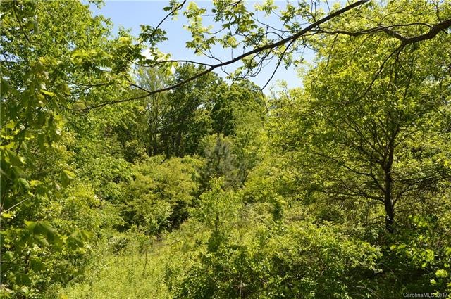 999 Retta Ln, Leicester, NC 28748 - photo 1