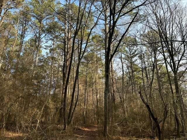 2994 Mount Zion Rd, Carrollton, GA 30117 - photo 1