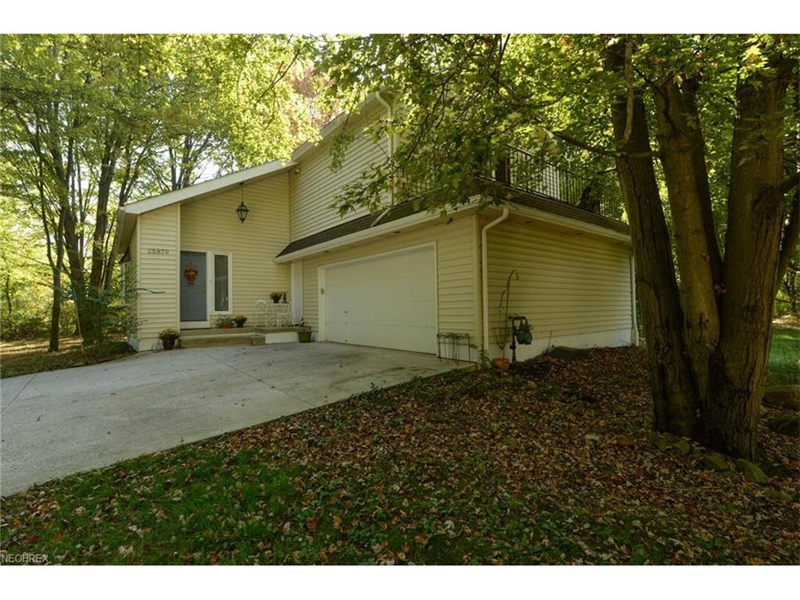 Welcome to 25879 Fernhall!