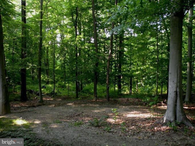 220 Fiddlers Hill Rd, Edgewater, MD 21037 - photo 1