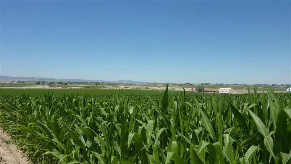 Parcel 2 Homestead Rd, Homedale, ID 83628 - photo 1