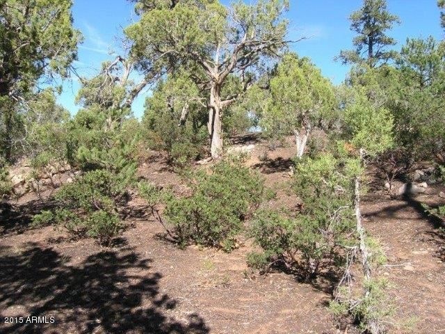 Sierra Pines (1)