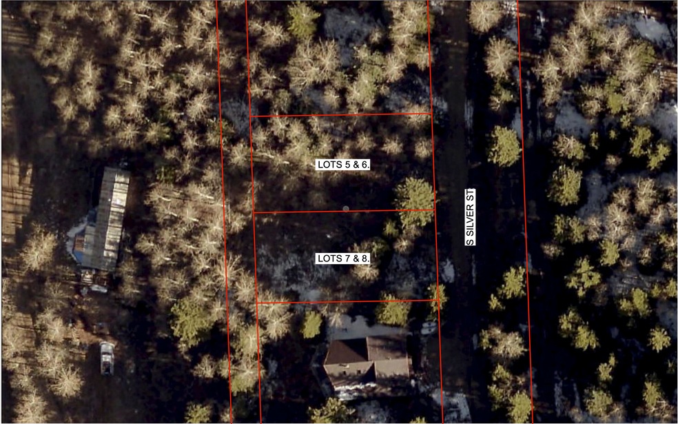 0 S Silver St unit 44030, Rico, CO 81332 - photo 1