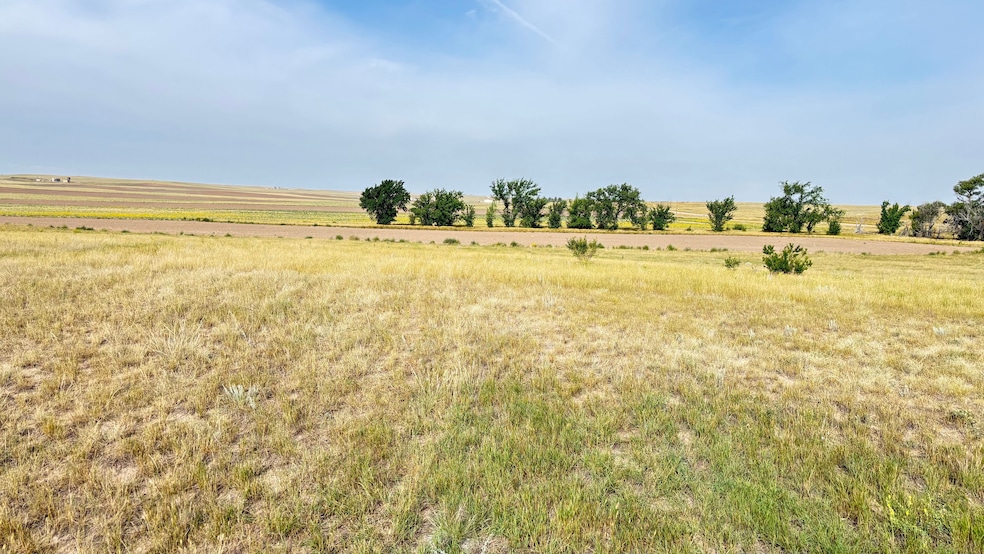 3785 Rd 222, Cheyenne, WY 82009 - photo 1