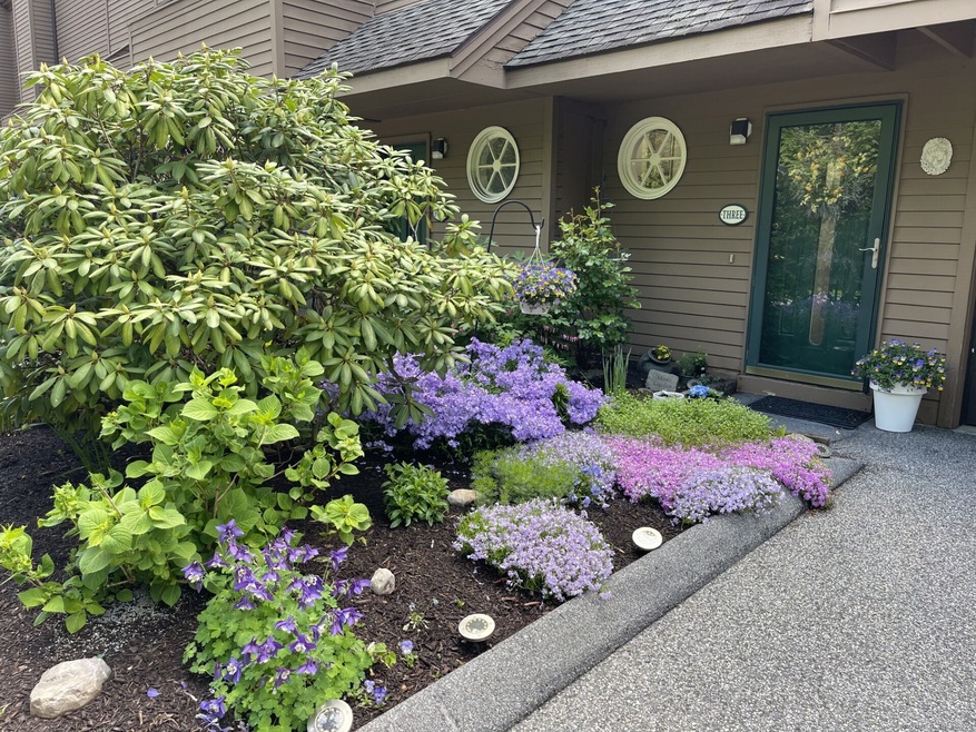 FRONT SPRING GARDEN