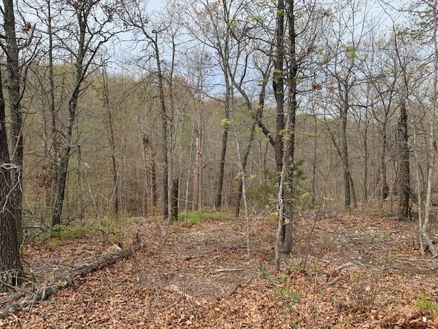 Lot 18 Chatburn Dr, Bella Vista, AR 72715 - photo 1