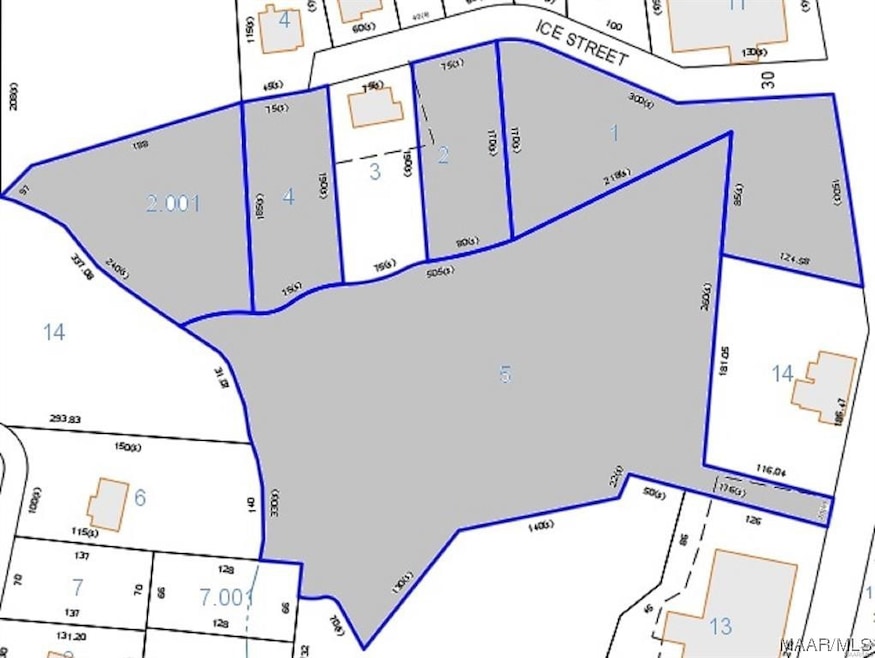 TBD N Merrick Ave, Ozark, AL 36360 - photo 1