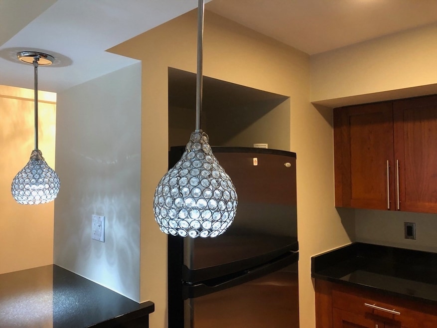 Washington on the Square unit 1109, Brookline, MA 02446 - photo 1