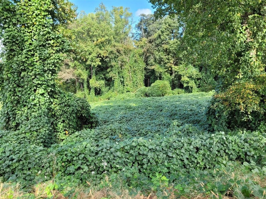 0 Deadwyler Rd unit LOT 4,5,6,7 9076068, Maysville, GA 30558 - photo 1