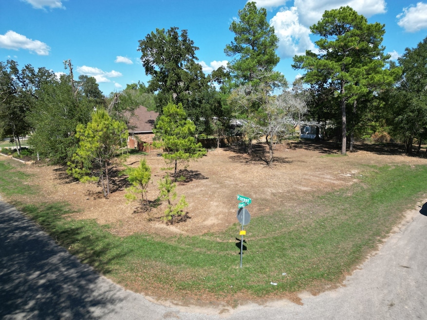 25088 Forest Cir, Hockley, TX 77447 - photo 1