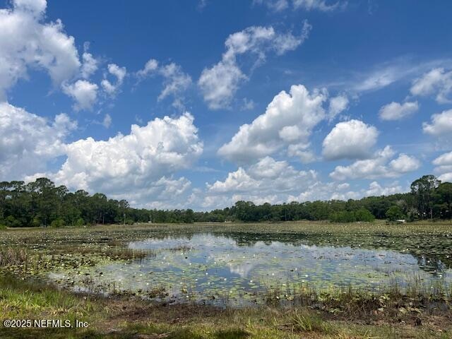 View of Pond