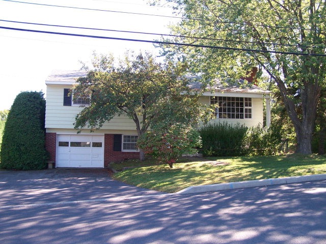 Main View