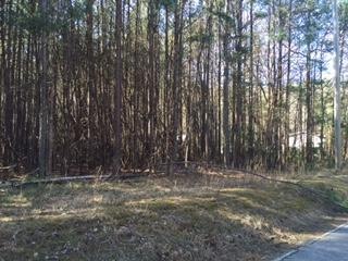 0 N Dick Creek Rd unit 1245703, Lafayette, GA 30728 - photo 1