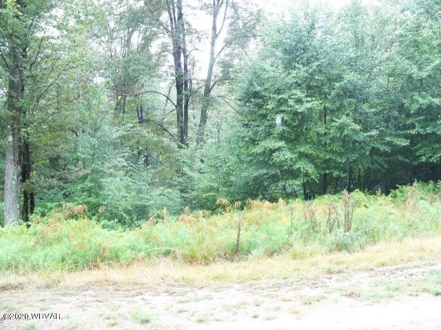 lot 20 pole bridge