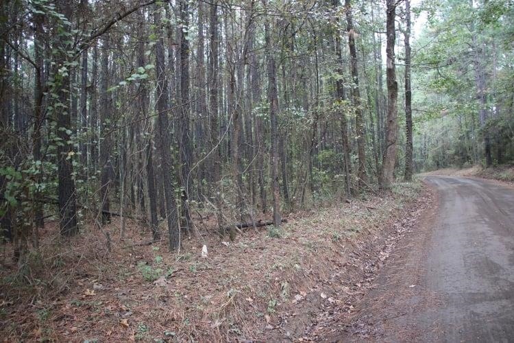 156 Mason Ln, Milam, TX 75959 - photo 1