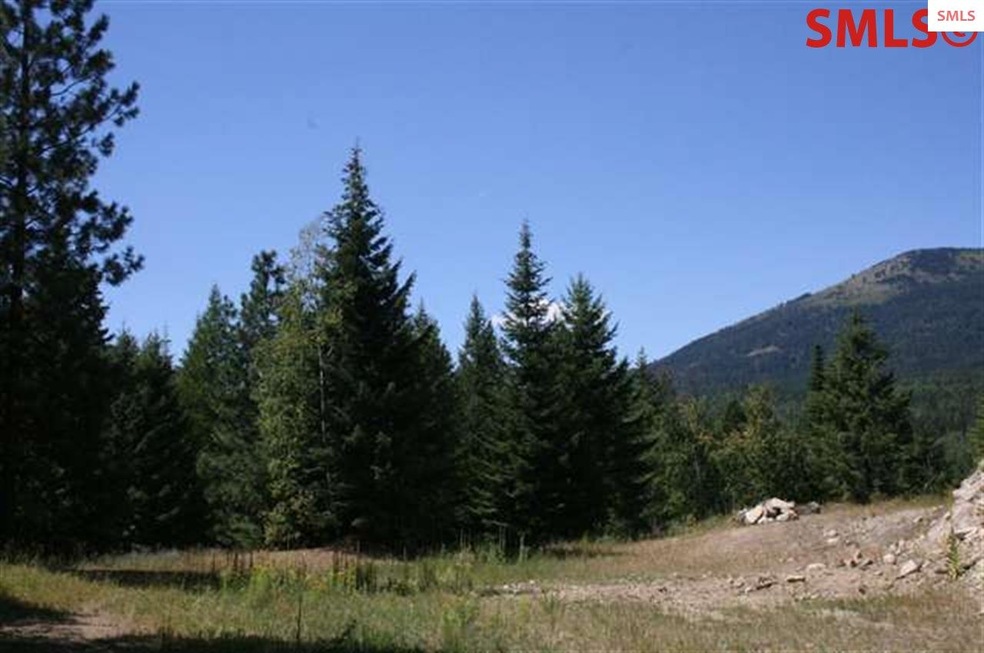 5 Larsen Ranch Ln, Sandpoint, ID 83864 - photo 1