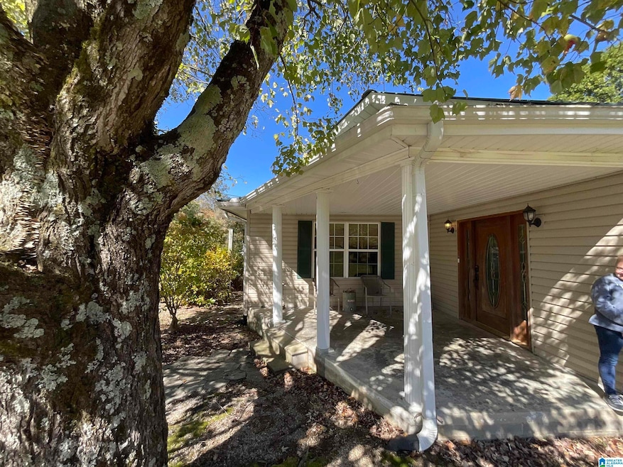 10045 County Road 121, Valley Head, AL 35989 - photo 1