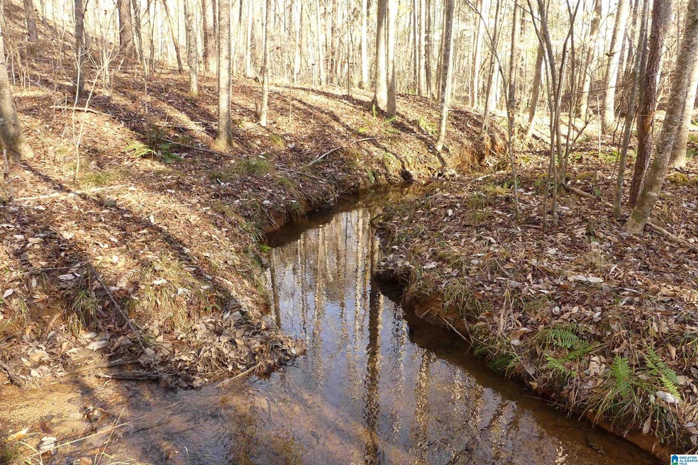 LOT # 9 Harbour Point Dr unit 9, Delta, AL 36258 - photo 1