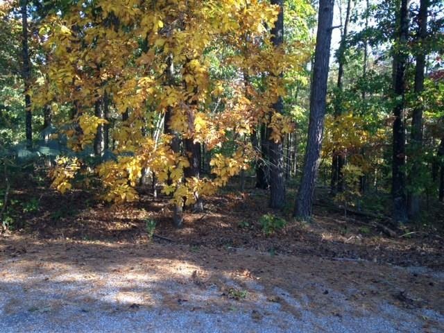 0 Sudbury Ln unit 1048958, Bella Vista, AR 72714 - photo 1