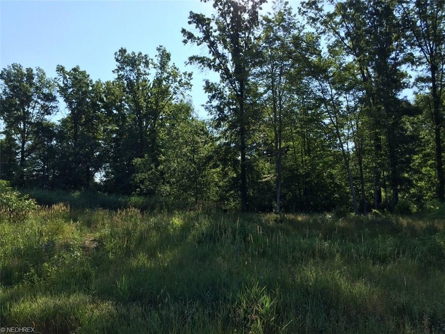3974 Joshua Pt, Rootstown, OH 44272 - Beautiful le