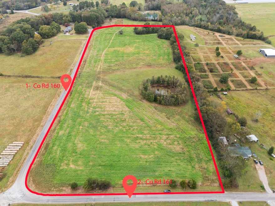 000 County Road 161, Moulton, AL 35650 - photo 1