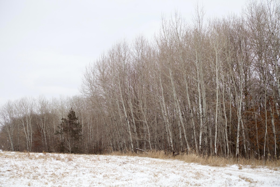 16XXX 4th Ave E, Lynden Township, MN 55382 - photo 1