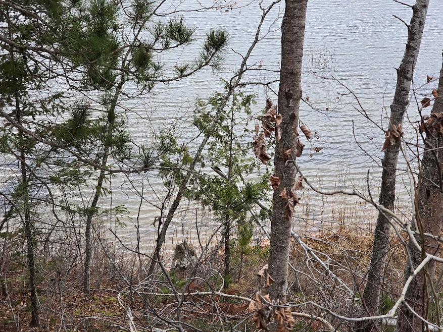 V/L 0.25AC Lost Lake Rd, Bismarck Township, MI 49743 - photo 1