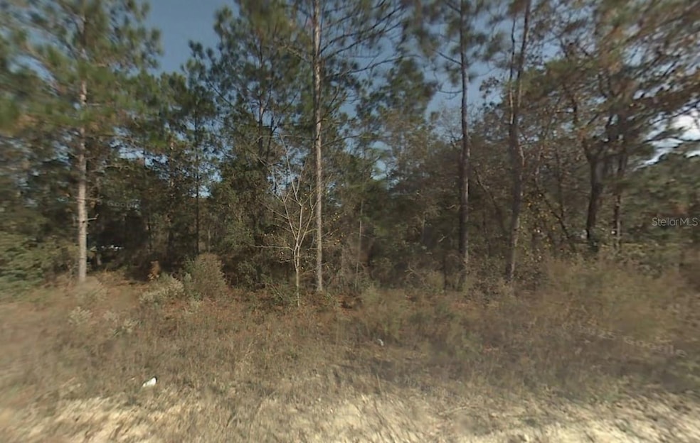 0 SW 167th Ave unit MFROK225746, Ocala, FL 34481 - photo 1