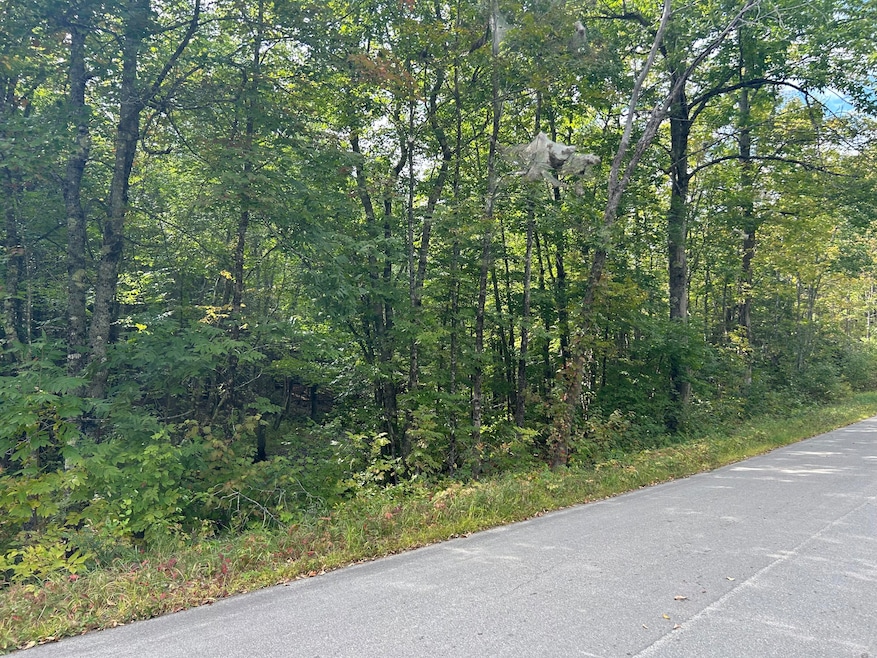 M5 Lot 13 Rd, Charleston, ME 04422 - photo 1