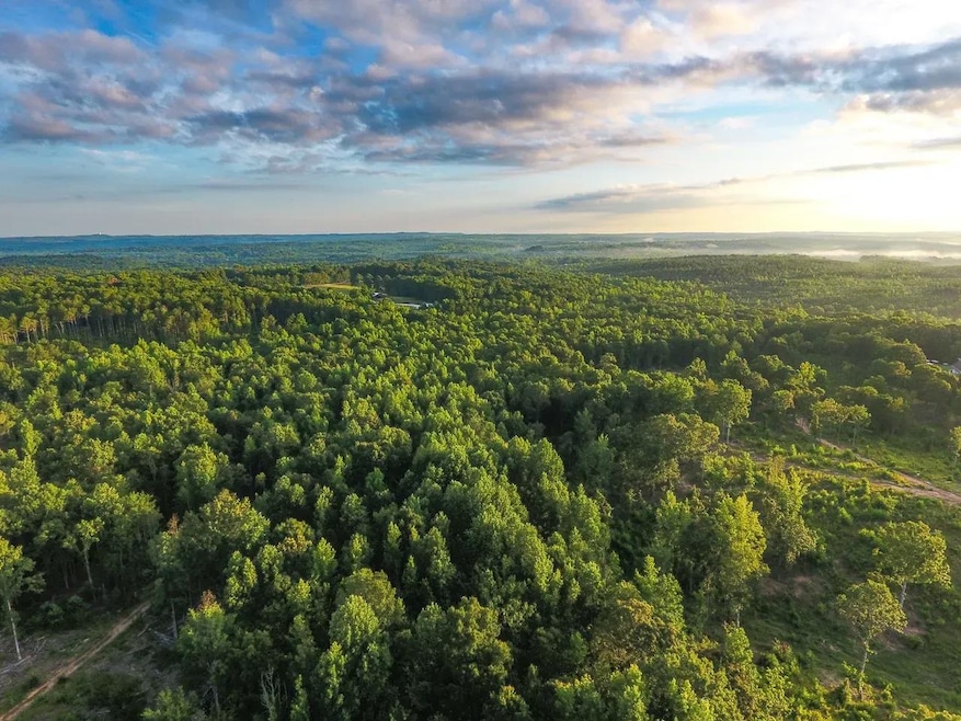 0 Roy Dean Rd unit 24150079, Buchanan, GA 30113 - photo 1