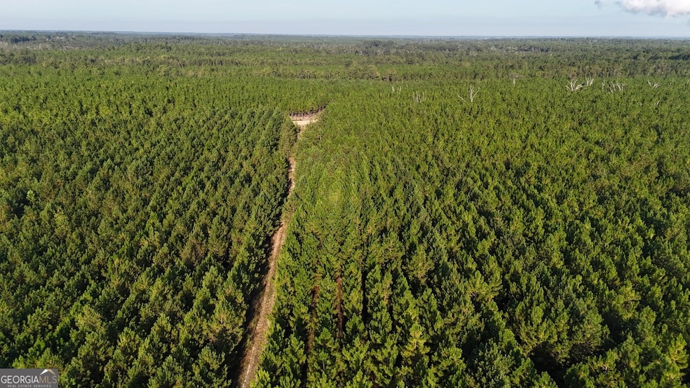 TRACTS 10 AND 1 Penny Morris Rd, Baxley, GA 31513 - photo 1