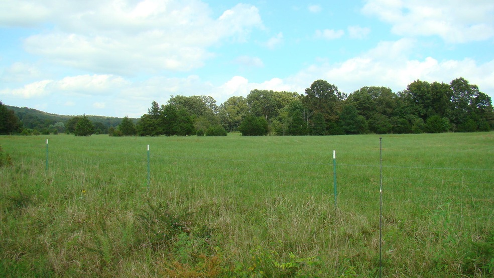 DSC03972