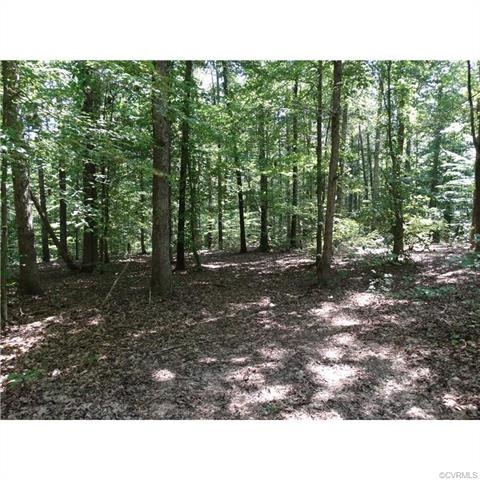 0 Byrd Point Ln, Patrick Henry, VA 23093 - photo 1