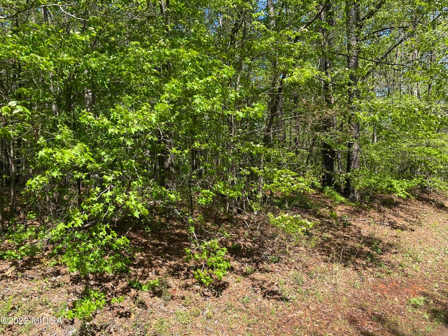 112 Greenview Terrace, Macon, GA 31220 - photo 1