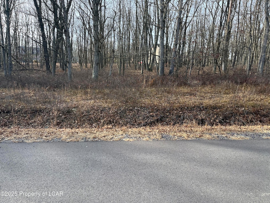 EH-352 Royal Aberdeen Dr, Hazle Township, PA 18202 - photo 1