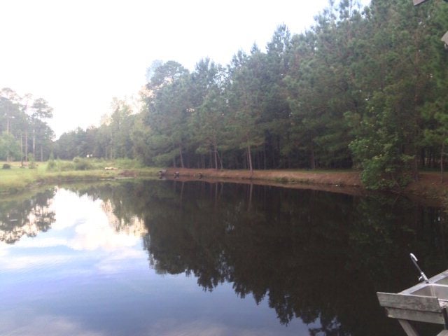 Main View