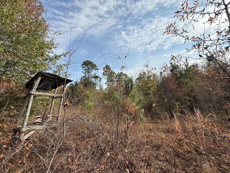 3391 Davis Bridge Rd, Williston, SC 29853 - photo 1