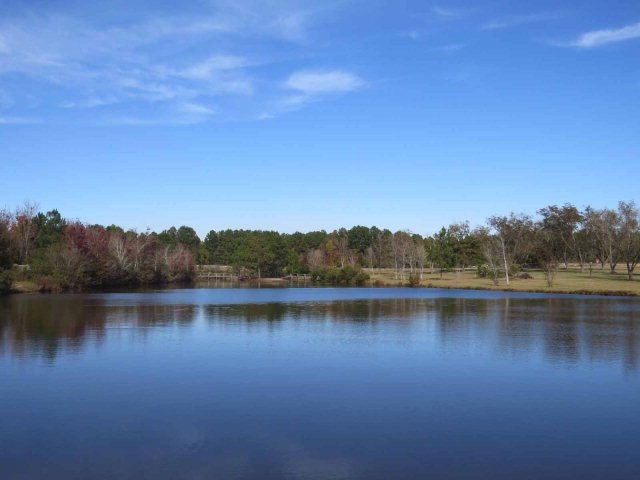 5 Muscadine Dr, Helena, GA 31037 - photo 1