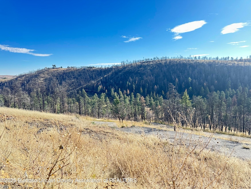 297 Lake Shore Dr, Alto, NM 88312 - photo 1