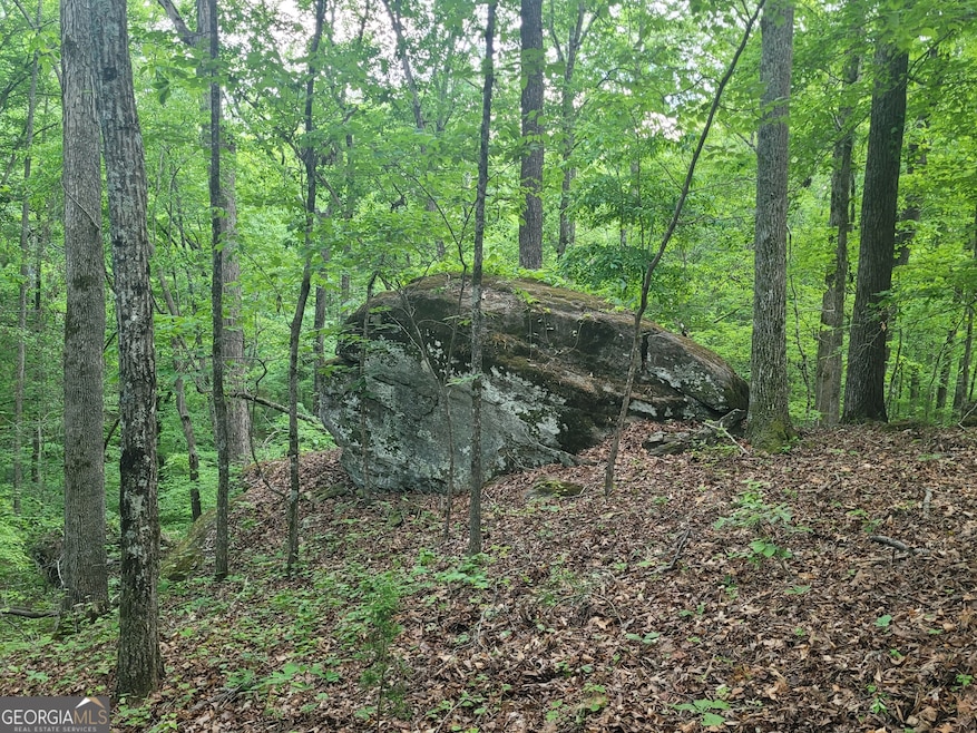0 Fincherville Rd unit TRACT 3 10435292, Jackson, GA 30233 - photo 1